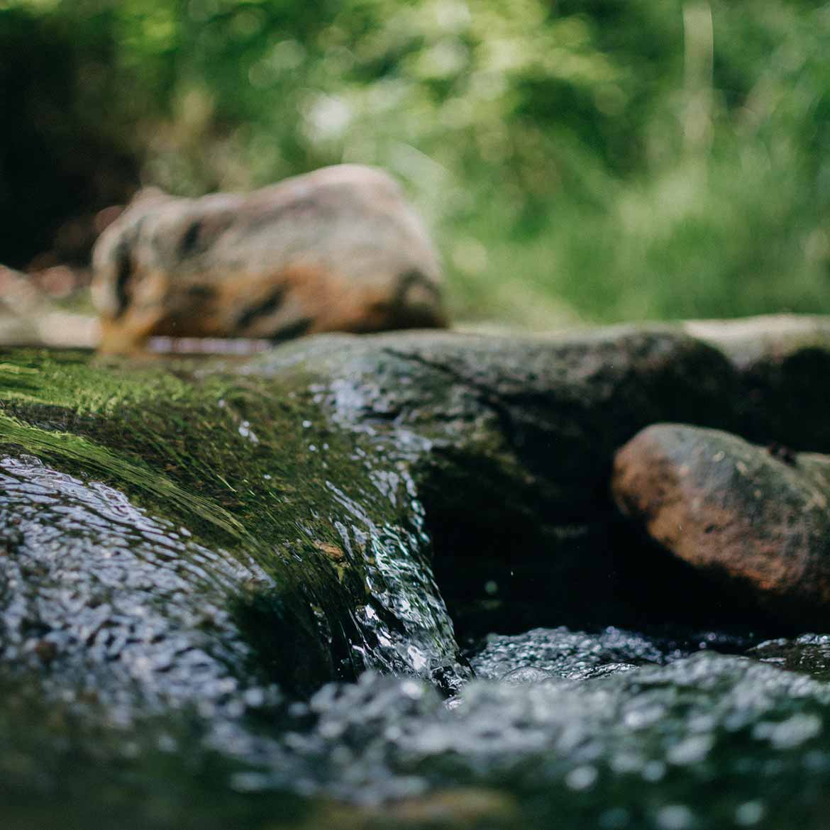 Outdoor-Garden Water-Features