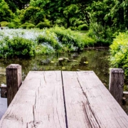 Outdoor Pond Garden Maintenance